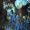 Pedra labradorita polida, autêntica de Madagascar. - 6