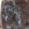 Pirolusita marroquina, cristalização autêntica - 2