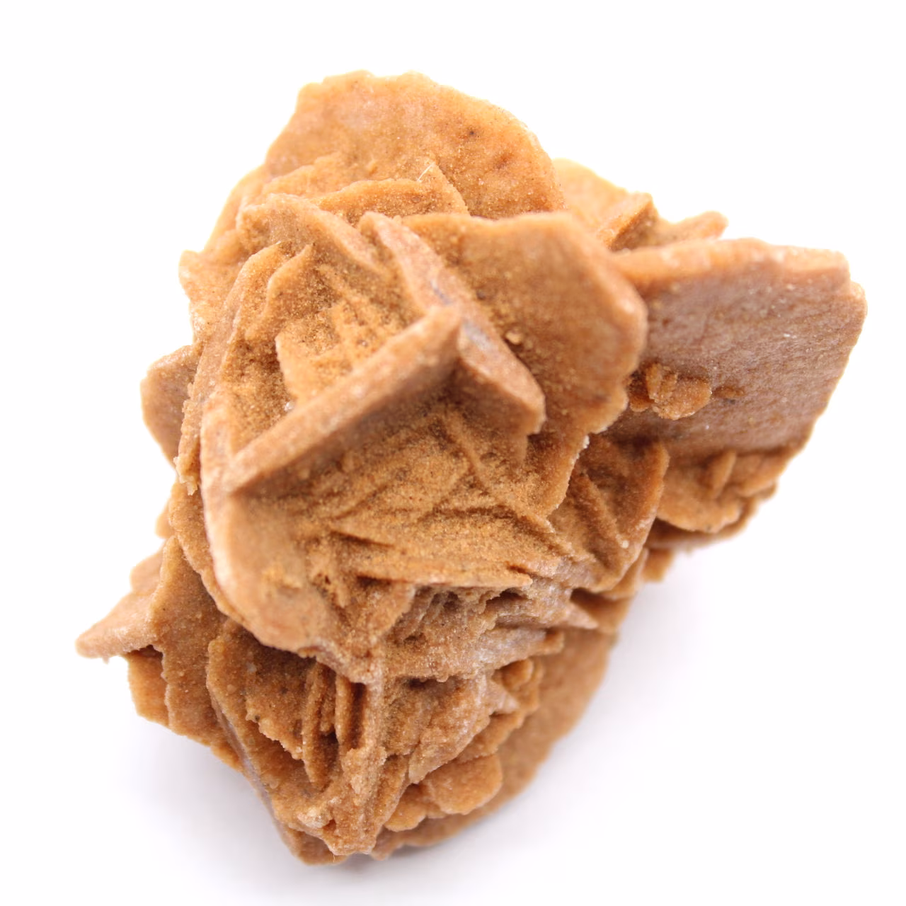 Cristais de rosa do deserto marroquina para coleções mineralógicas.