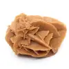 Pequena Rosa do Deserto de Marrocos: fragmento geológico natural - 2