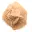 Pequena Rosa do Deserto de Marrocos: fragmento geológico natural — 5