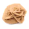 Pequena Rosa do Deserto de Marrocos: fragmento geológico natural - 6
