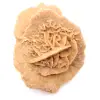 Pequena Rosa do Deserto de Marrocos: fragmento geológico natural - 9