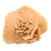 Pequena Rosa do Deserto de Marrocos: fragmento geológico natural - 11