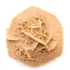 Pequena Rosa do Deserto de Marrocos: fragmento geológico natural - 12