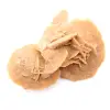 Pequena Rosa do Deserto de Marrocos: fragmento geológico natural - 14