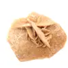 Roseta mineral de Marrocos: cristalização do gesso - 0