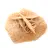 Roseta mineral de Marrocos: cristalização do gesso