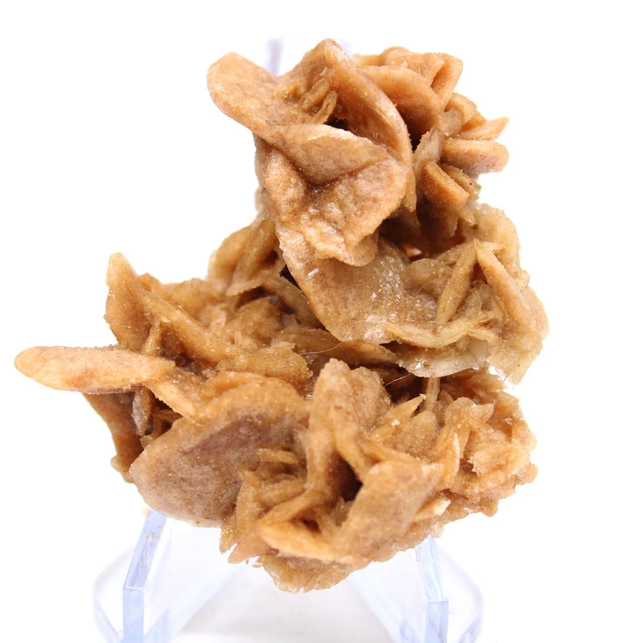 Espécime mineralógico bruto do deserto