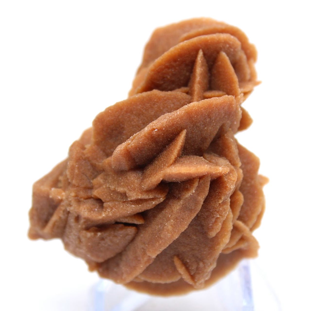 Tesouro mineral das dunas argelinas