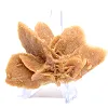 Cristalização autêntica de gesso - 2