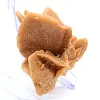 Cristalização autêntica de gesso - 3