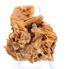 Espécime de gesso ocre cristalizado - 2