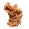 Espécime de gesso ocre cristalizado - 3