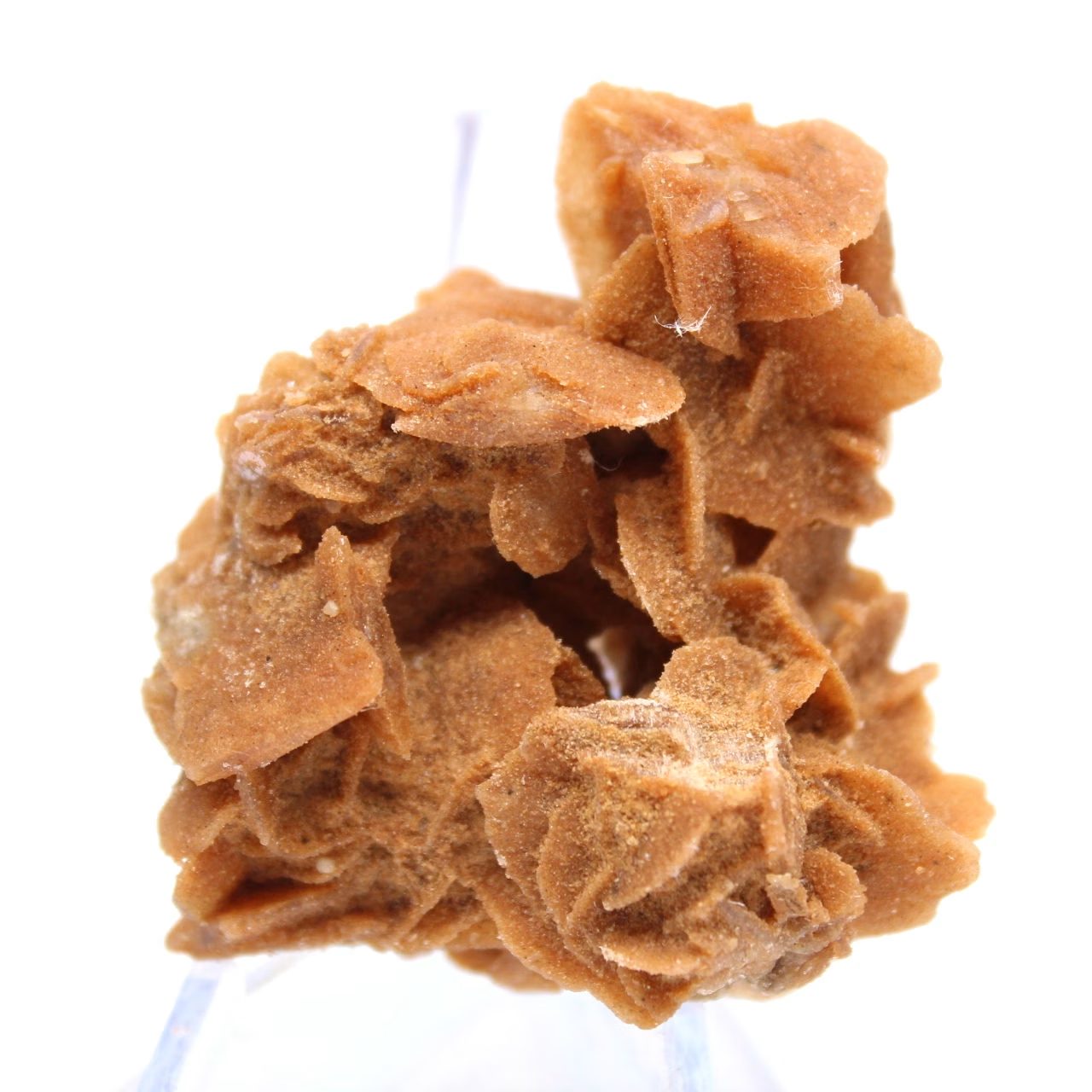 Espécime de gesso ocre cristalizado