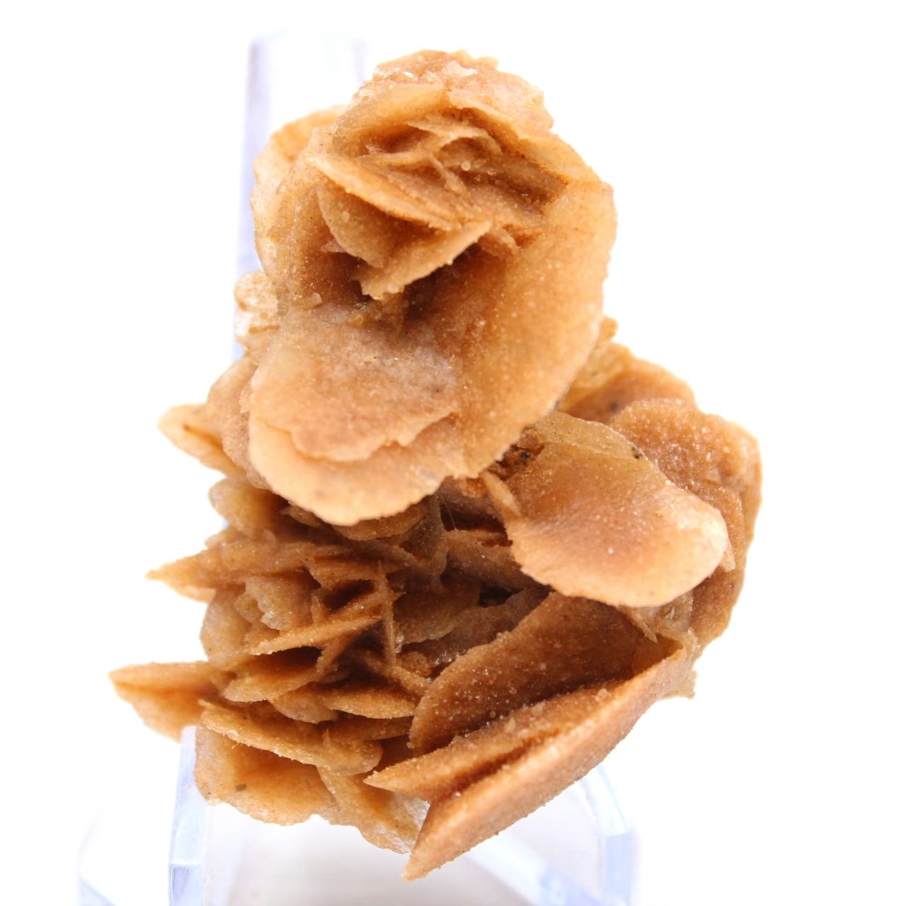 Pétalas de areia cristalizada, Argélia