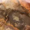 Madeira de Majunga Petrificada - Fatia Polida de Origem Natural - 4