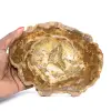 Pequeno pedaço de madeira petrificada - Autenticidade de Madagascar - 0