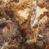 Grande fatia de madeira petrificada - Coleção Majunga - 4