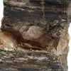 Espécime Mineralógico - Turmalina Negra Bruta de Madagascar - 5