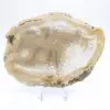 Fatia de geodo de ágata brasileira - 1