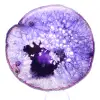 Fatia de ágata brasileira maciça, em tons de roxo. - 1