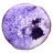 Fatia de ágata brasileira maciça, em tons de roxo.