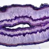 Decoração Mineral: Fatia de Ágata Roxa Brasileira - 2
