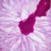 Fatia de ágata natural com tonalidade rosa - 2