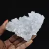 Fragmento de Celestina: Pequeno espécime de Madagascar - 1
