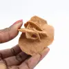 Mini Rosa do Deserto Marroquina: exemplar de gesso natural - 1