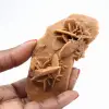 Rosa-do-deserto alongada de Marrocos: um espécime geológico - 1