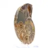 Amonita de Madagascar: Espécime de Mineralogia - 3