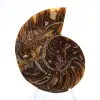 Amonita pequena de Madagascar: Pureza mineral - 1