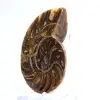 Amonita pequena de Madagascar: Pureza mineral - 2