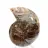Amonita pequena de Madagascar: Pureza mineral