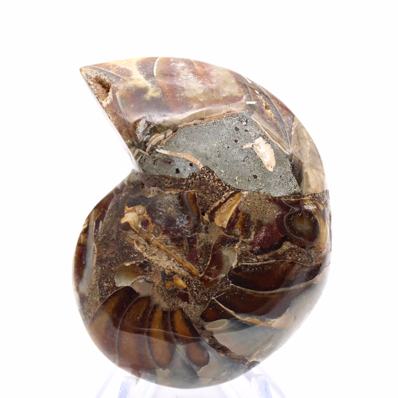 Amonita pequena de Madagascar: Pureza mineral
