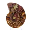 Amonita de Madagascar: Pureza do Mineral - 1
