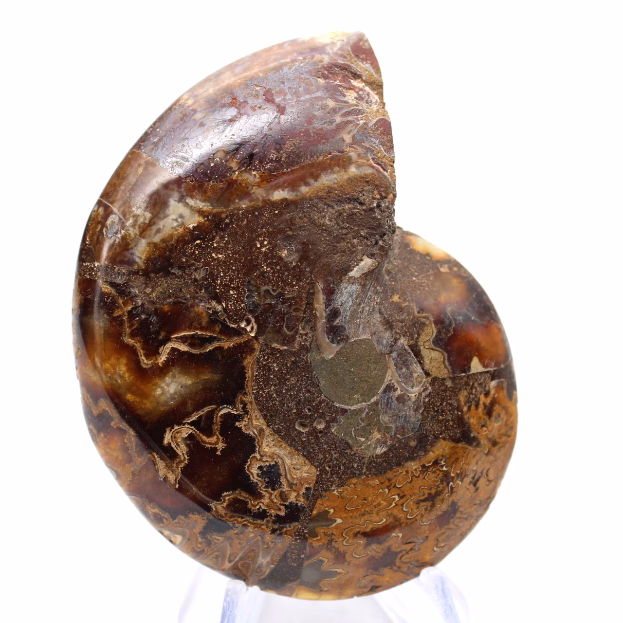 Amonita de Madagascar: Pureza do Mineral