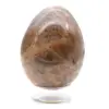 Ovo de Pedra da Lua Negra - 205g - 1