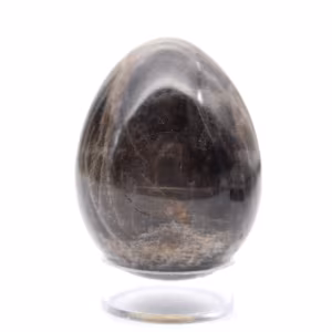 Ovo de Pedra da Lua Negra 145g