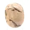 Seixo de feldspato de Madagascar – Espécime mineral - 1