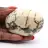 Seixo de feldspato de Madagascar – Espécime geológico