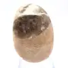 Seixo de feldspato malgaxe – Espécime natural - 2