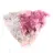 Cobaltocalcite du Congo-Kinshasa, cristaux sur support