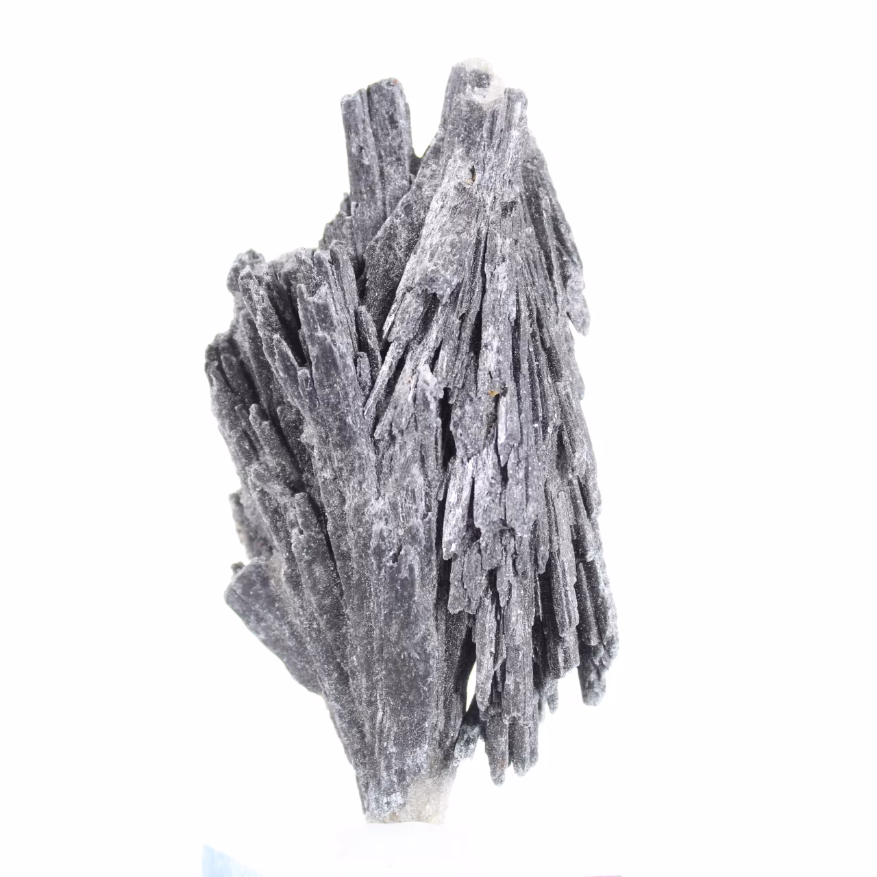 Cristal de cyanite noire brésilienne sur support acrylique 50 g