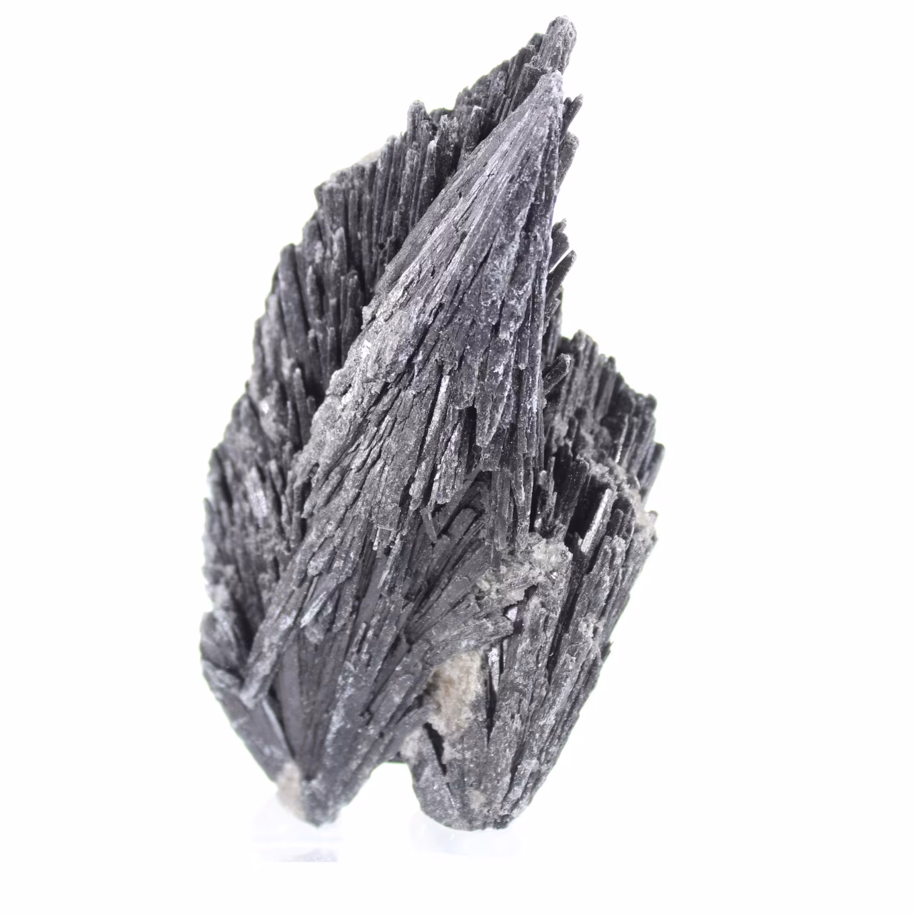 Cyanite noire brésilienne, spécimen de collection sur socle 70 g