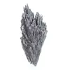 Cyanite noire du Brésil, cristal lamellaire authentique 40 g - 4