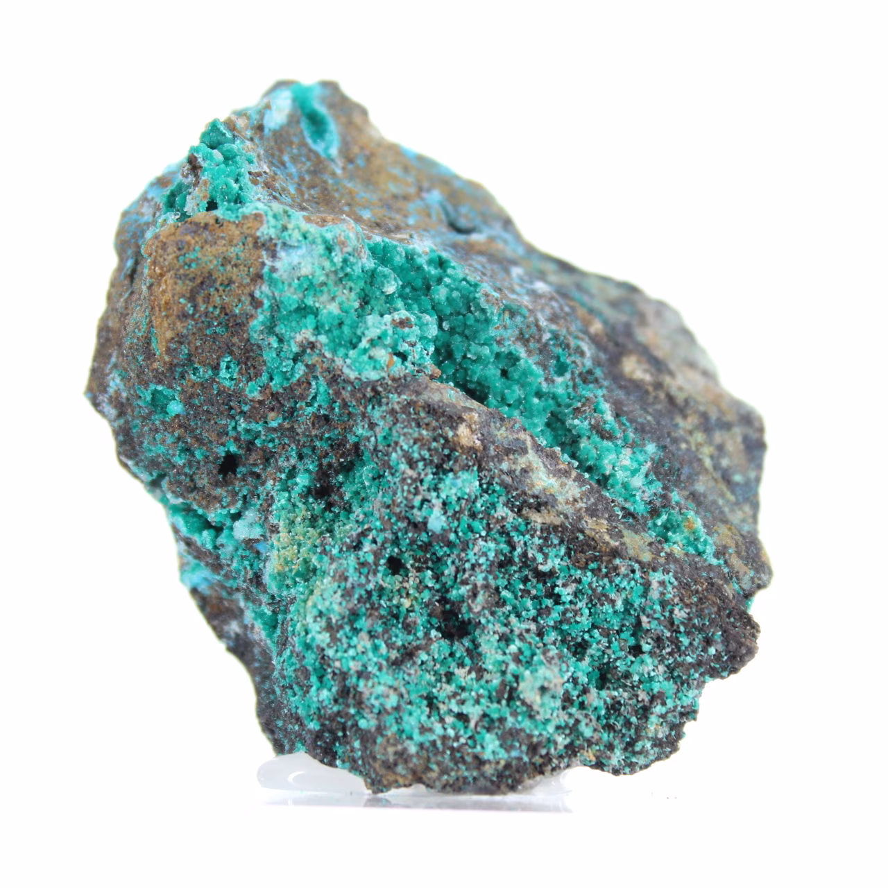 Brochantita chilena: mineral bruto em ganga e embasamento