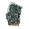 Brochantite bruta do Chile - Espécime científico sobre pedestal - 0